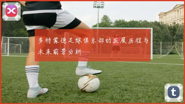 多特蒙德足球俱乐部的发展历程与未来前景分析