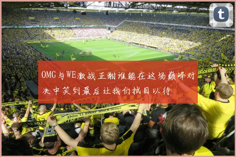 OMG与WE激战正酣谁能在这场巅峰对决中笑到最后让我们拭目以待