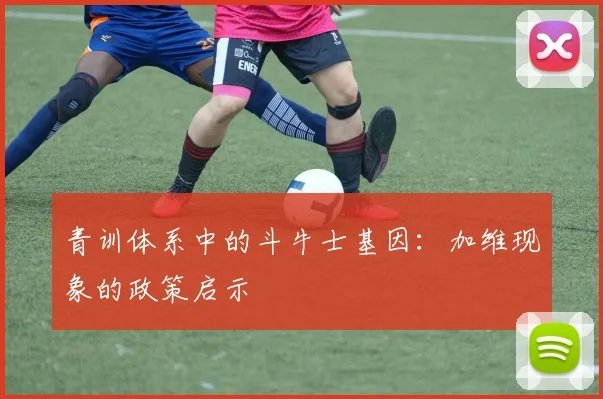青训体系中的斗牛士基因：加维现象的政策启示